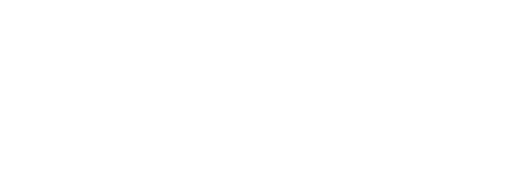 LéO Africa Institute